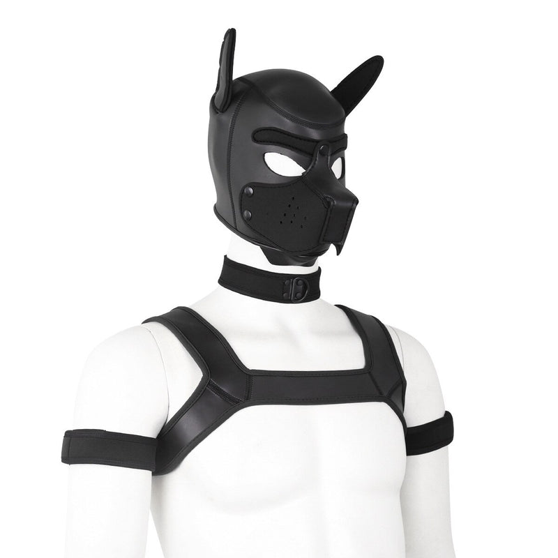 Bondage Hood Chest Belt Arm Band Neck Collar Dog Roleplay Fantasy Harness Club Costume